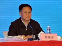 國(guó)家能源局副局長(zhǎng)鄭柵潔同志講話